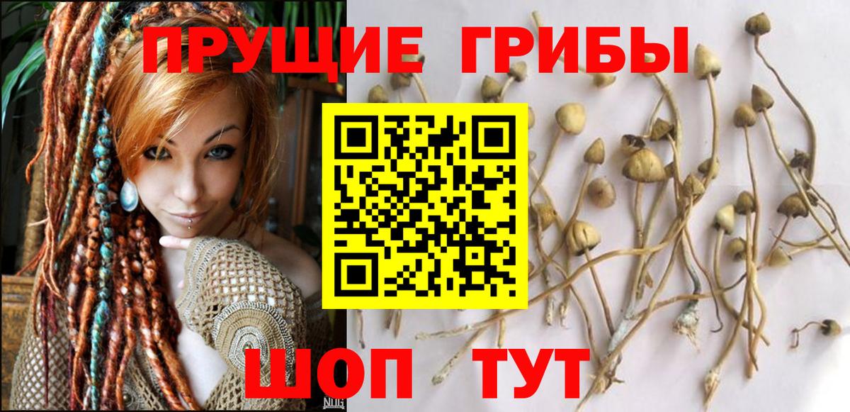 Псилоцибиновые грибы ЛСД Новотроицк