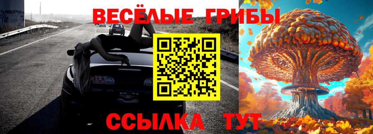 Новотроицк  Галлюциногенные грибы MAGIC MUSHROOMS  Вход с VPN 